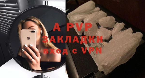 индика Осташков