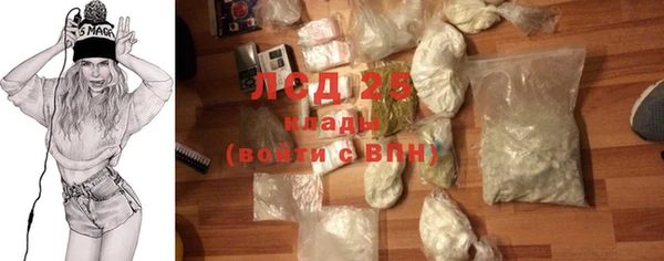 индика Осташков