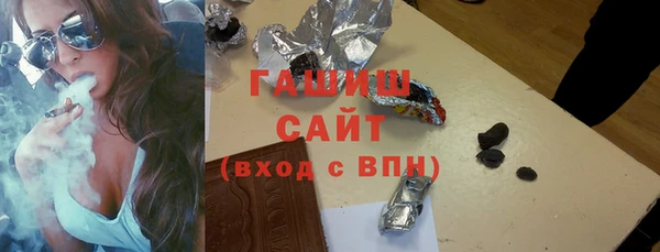 индика Осташков