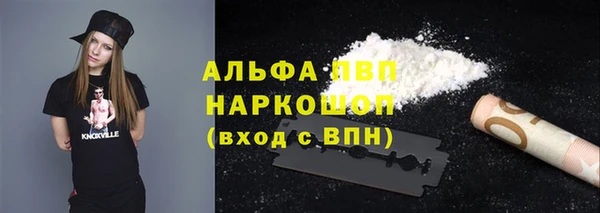 индика Осташков