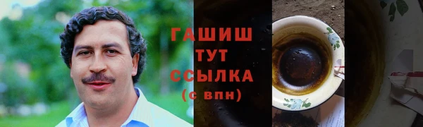 индика Осташков