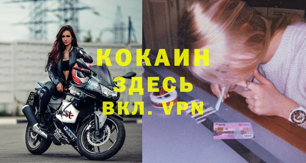 индика Осташков