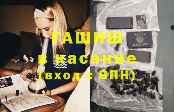 индика Осташков