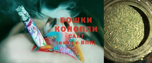 индика Осташков