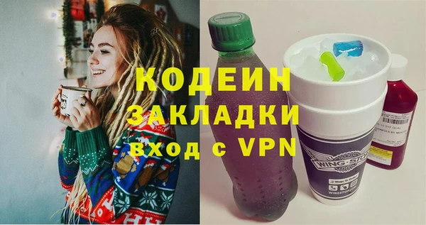 индика Осташков