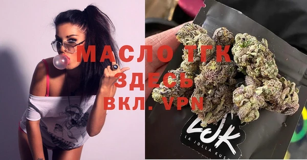 индика Осташков