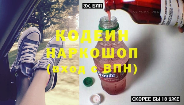 индика Осташков