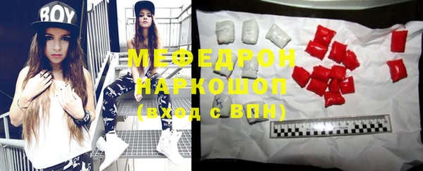 индика Осташков