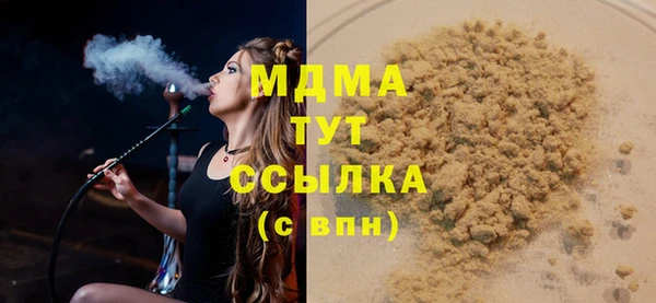 индика Осташков