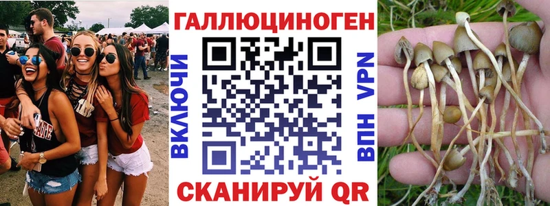 наркотики  Благовещенск  Галлюциногенные грибы прущие грибы 